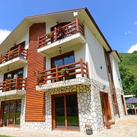 Villa 'Iva' Mavrovo Buitenkant foto