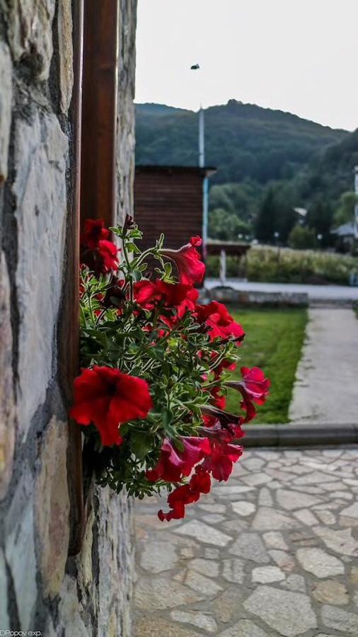 Villa 'Iva' Mavrovo Buitenkant foto